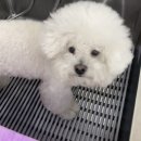 그루밍솔루션 구로점 이미지