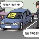 솔로몬자동차 네이버블로그