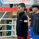 월드 복싱 체육관 이미지