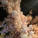 오월이자카야 | 하단 오월이자카야 광어세비체부터 전복크림파스타까지 제대로 먹고 온 후기
