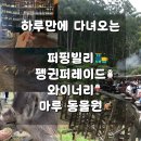 [멜버른]조이투어 추천 후기(내돈내산): 퍼핑빌리/필립아일랜드/와이너리/마루동물원