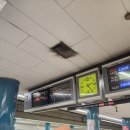 인형나라 | 일본 오사카 나라 사슴공원 기념품 파는곳 위치, 귀여운 인형 양말 구매 후기 (+할인쿠폰 코드)