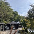 이순이김밥 | 서울 단풍 명소 끝판왕! 가을 북한산 등산 완주기⛰️251020