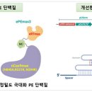 프라임개발