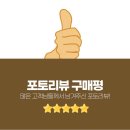 26년 햇김!! 서래아 서천 재래김 이미지