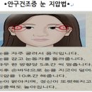 간의 채소로 부추이야기 이미지