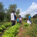 수원토종학교8기. 26회차(10월 2일)/ 뱀이다아~ + 손대면 톡!하고~ 이미지