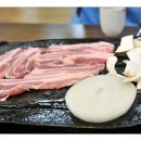 초원도야지 이미지