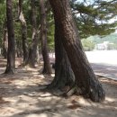 상주은모래비치 주차장 이미지