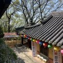 백률사 | 경주 절, 이차돈의 순교 이야기가 담긴 경주 국립공원 사찰! 경주 백률사