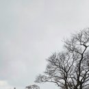 시동목장 이미지