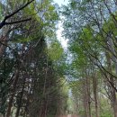 쉼이필요할때 | 몸이 멈추라고 했다… 신소장의 이구산 트레킹과 쉼 이야기