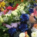 꽃가지화원 이미지