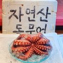 도현상회