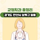 노동주치과의원 | 경기도 안산시 상록구 일동 교정치과 총정리