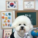 까까멍멍 이미지