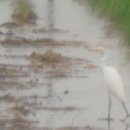 신기촌경로당 이미지
