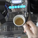 포레스트G1 이미지