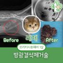 선부중앙동물의료센터 이미지