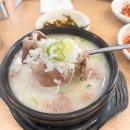 송파 설렁탕 맛집 추천｜진미옥설렁탕 본점, 1981년부터 이어온 백년가게 단골 후기