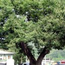 상정2구 이미지