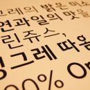 따옴산업