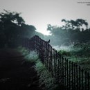 정경목장 이미지