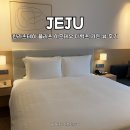 제주도 신상 호텔 신라스테이 플러스 이호테우 디럭스 가든 뷰 후기