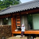 스테이 팔랑 이미지
