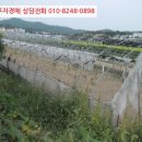내유목장 네이버블로그