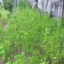 경수농장 이미지