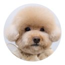 몽크의 아뜰리에 이미지