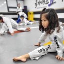 국가대표 정태권도 이미지