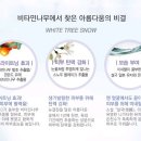 THEFACESHOP 이미지