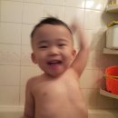 하나탕 Daum카페