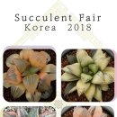 Succulent Fair Korea 2018 이미지