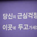 1004의섬 퍼플섬 이미지