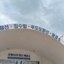 카니데이즈 | 우도 전기차 여행 꿀팁 배시간 코코나라 가볼만한곳 솔직후기