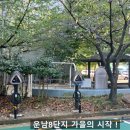 운남약국 이미지