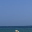 A134 | [공지] 연곡솔향기캠핑장 | 8월 강릉 여름 바다 캠핑 A134 사이트 2박 후기 🌊🏖️🤿