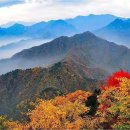 좌천상회 이미지