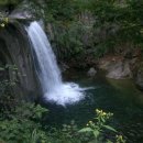 금양주유소 이미지