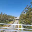 아카데미 빌리지 이미지