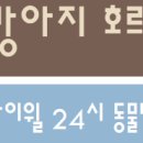 왕눈이PC 이미지