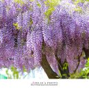 대구상인초등학교 이미지