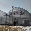 원팜