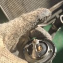 해송카센타 이미지