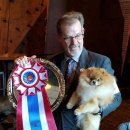 골든캐슬 쇼룸 이미지