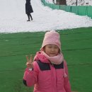 용인대용전태권도 이미지