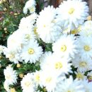 저거리농장 이미지